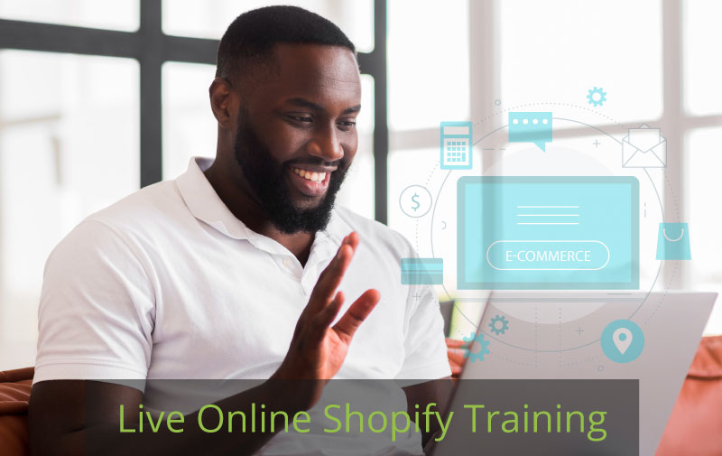 live online shopify training south africa